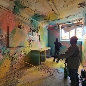 Réalisation série Vestige 1 – Collective Roselavy